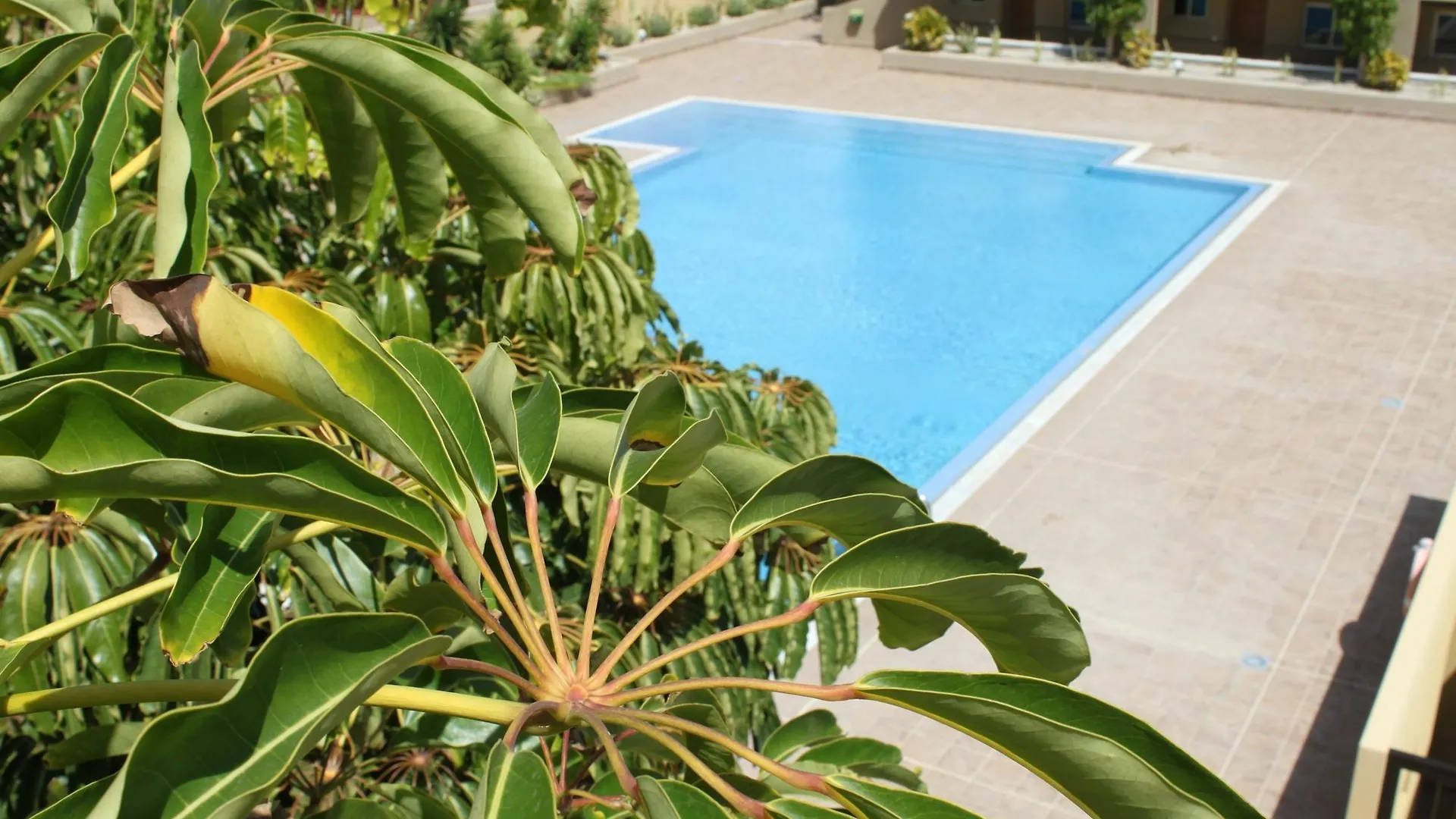 Luxury Scape Apartment El Medano  Spain