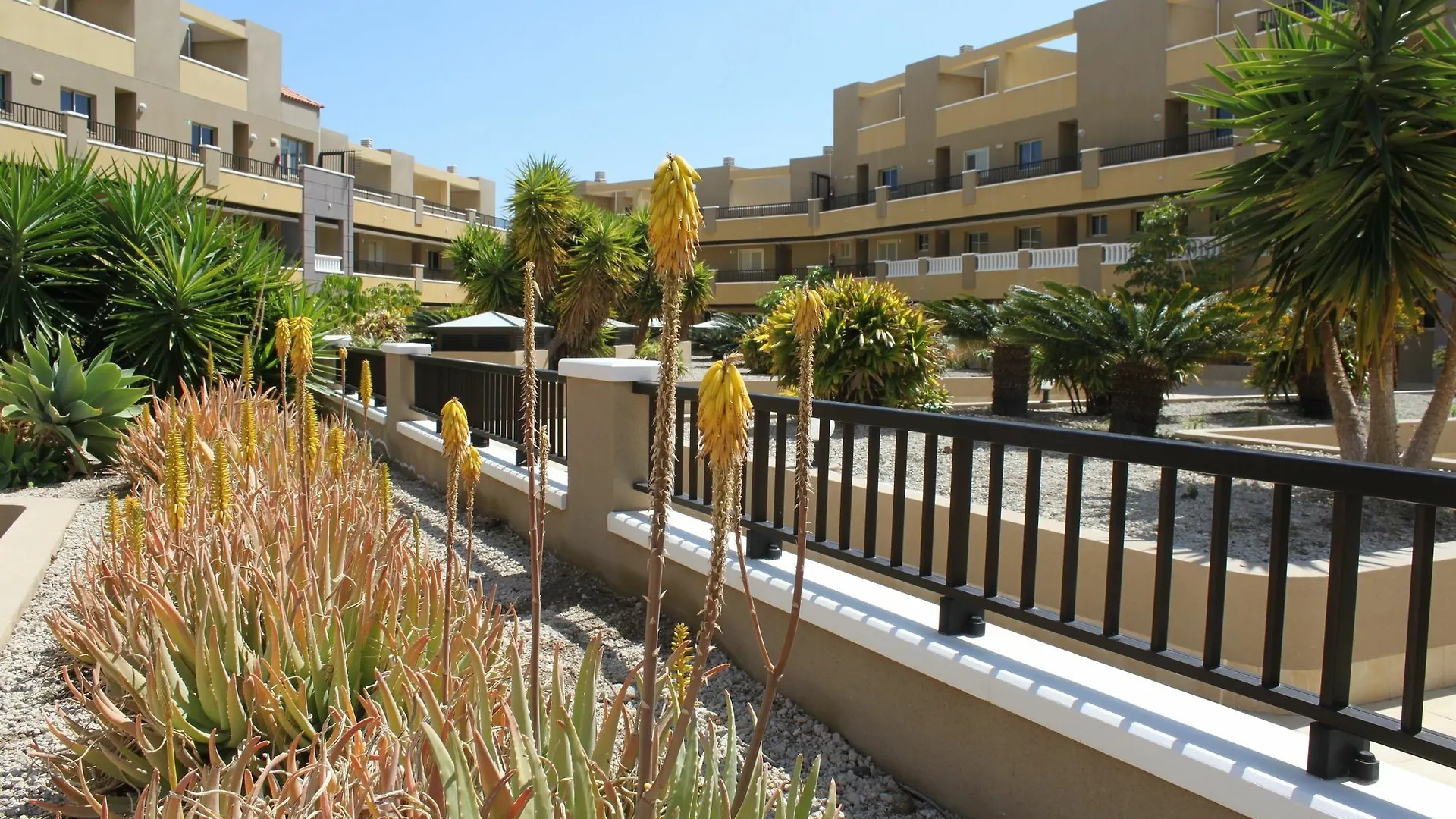 Luxury Scape Apartment El Medano   El Medano (Tenerife)